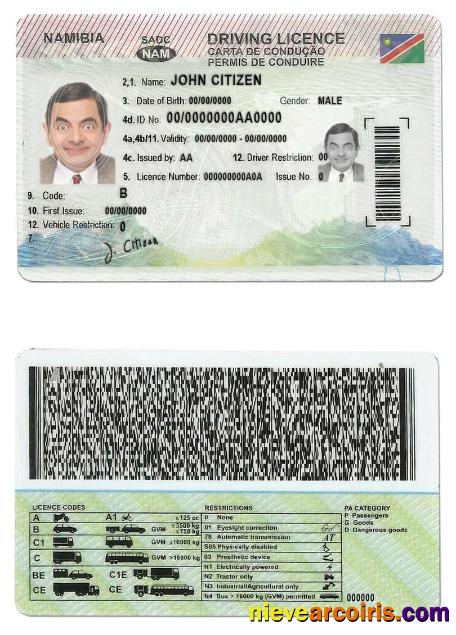 Namibia driving license